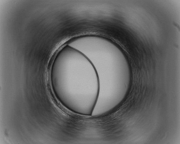 X0000097500726200802220841