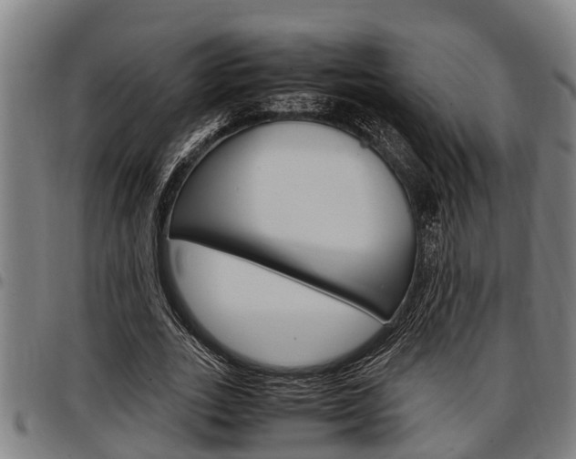 X0000097500727200802220841