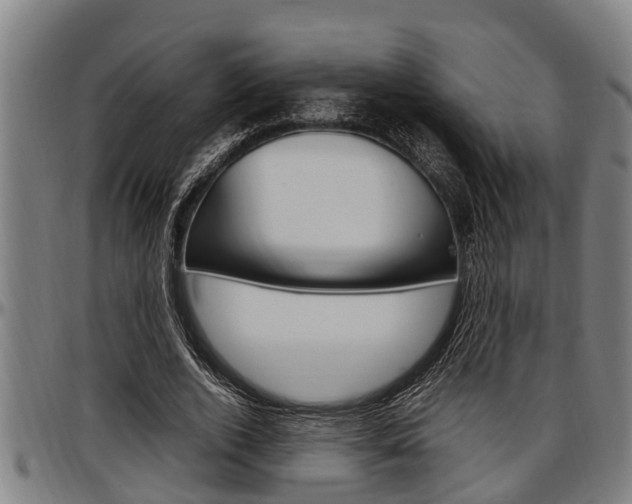 X0000097500728200802220841