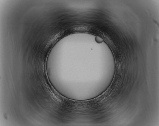 X0000097500729200802220841