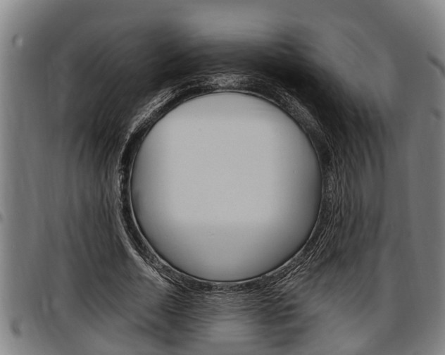 X0000097500730200802220841