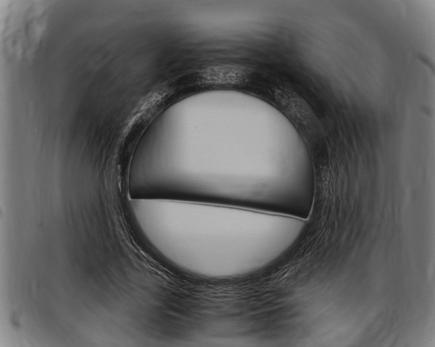X0000097500731200802220841
