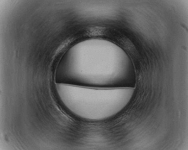 X0000097500732200802220841