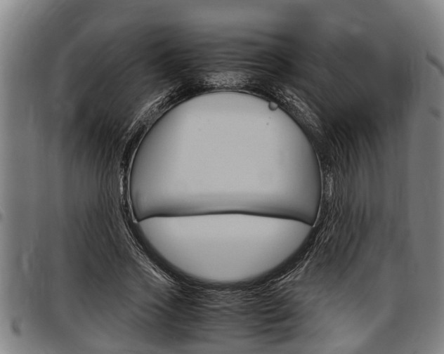 X0000097500733200802220841