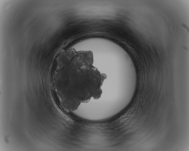 X0000097500734200802220841