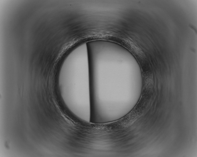 X0000097500736200802220841