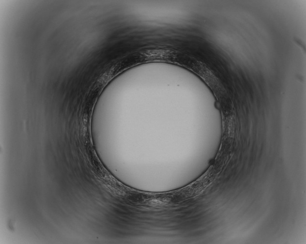 X0000097500737200802220841