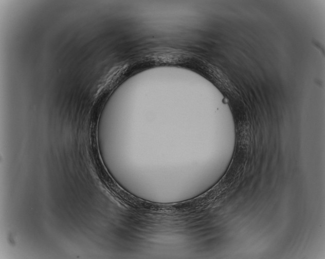 X0000097500738200802220841