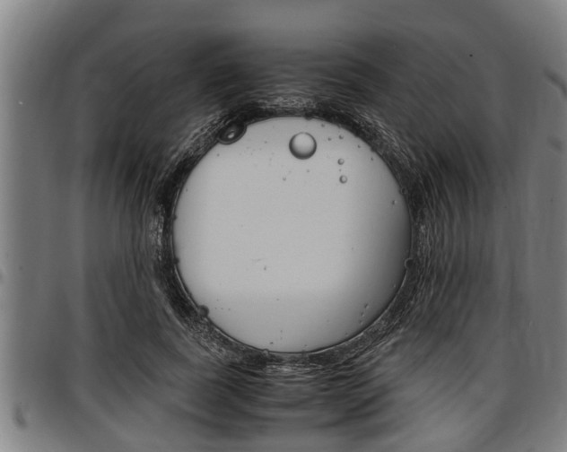 X0000097500739200802220841