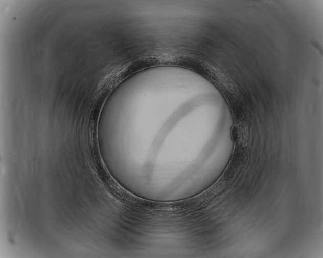 X0000097500740200802220841