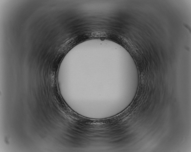 X0000097500741200802220841