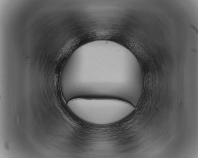 X0000097500742200802220841