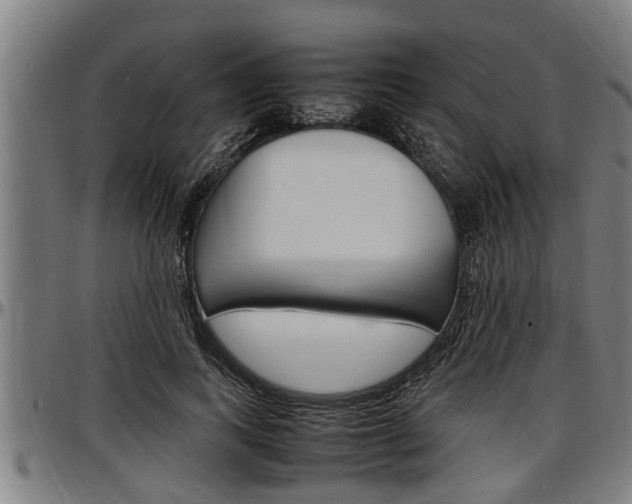 X0000097500743200802220841