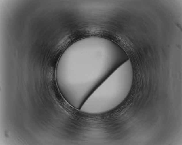 X0000097500744200802220841