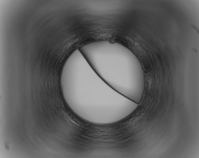 X0000097500745200802220841