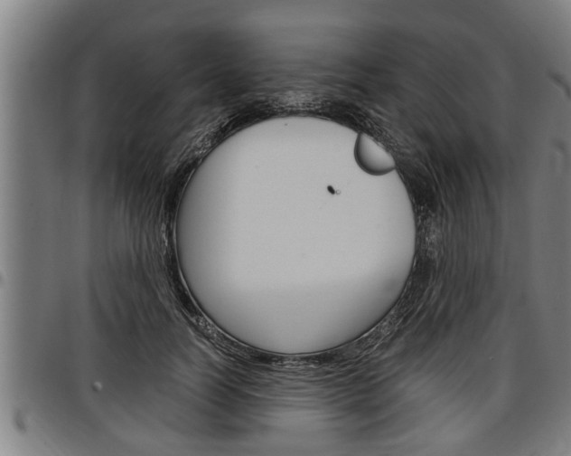 X0000097500746200802220841