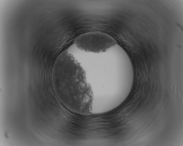 X0000097500747200802220841