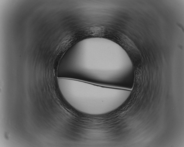 X0000097500748200802220841