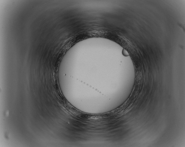 X0000097500749200802220841