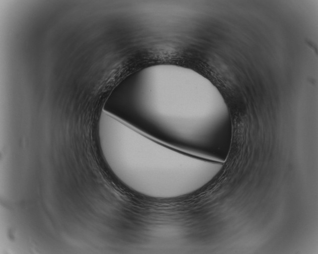 X0000097500750200802220841