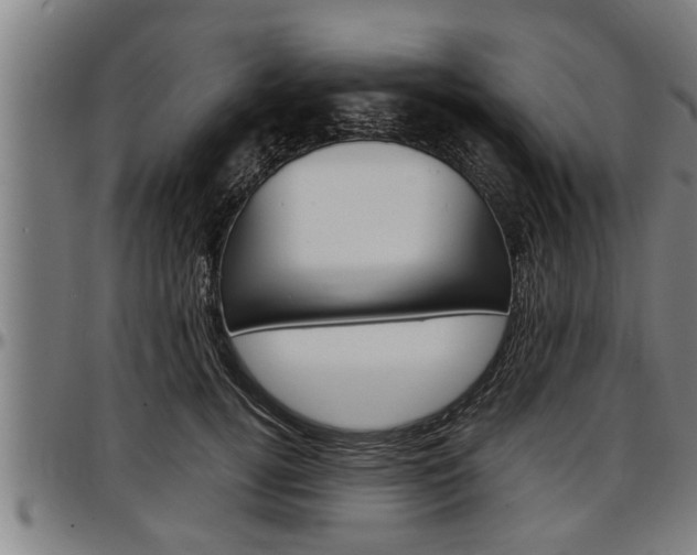 X0000097500752200802220841
