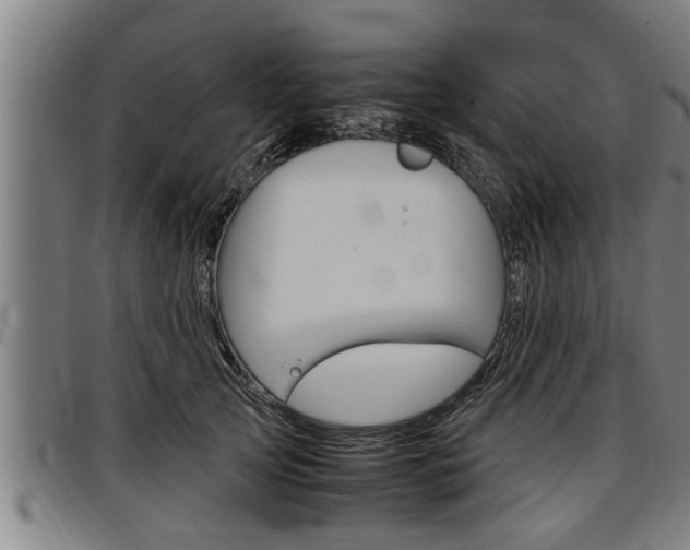 X0000097500753200802220841