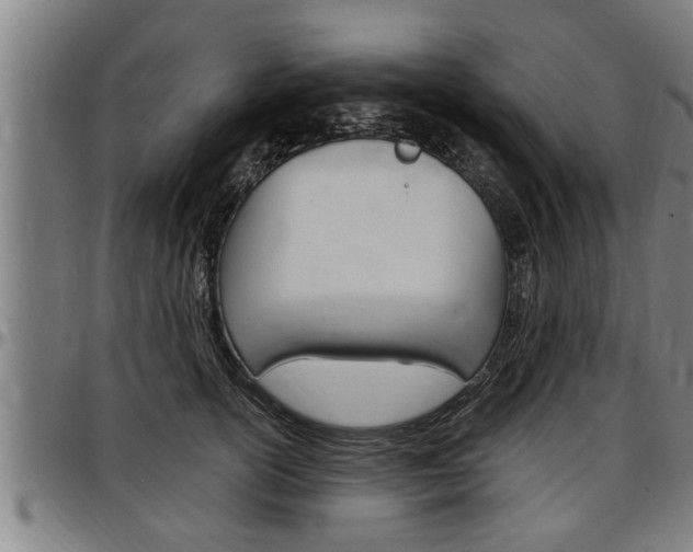 X0000097500754200802220841