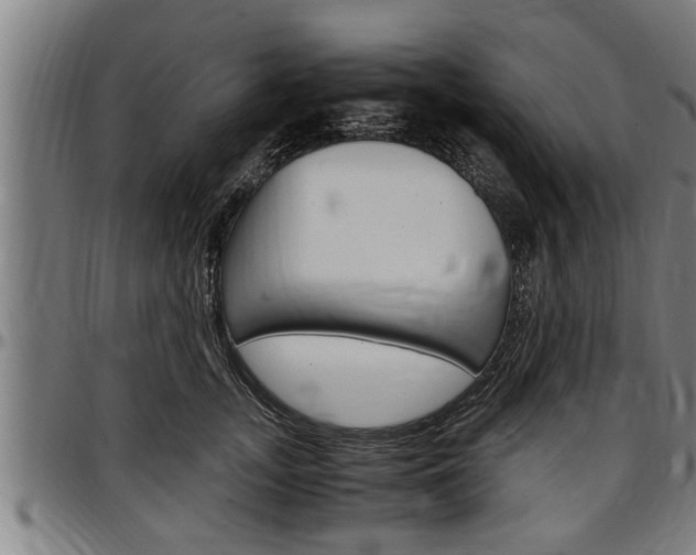 X0000097500755200802220841