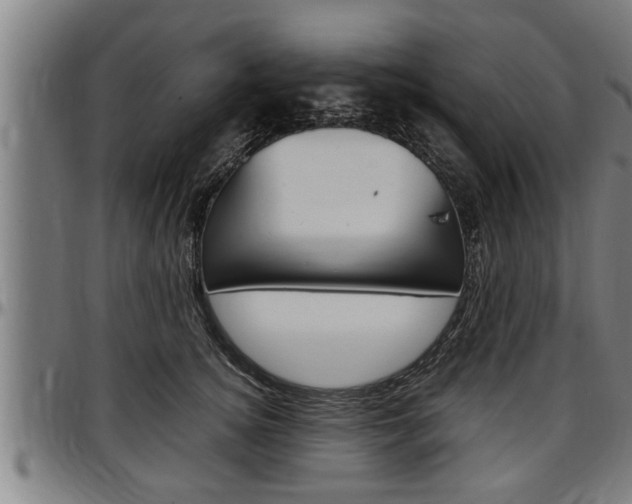 X0000097500756200802220841