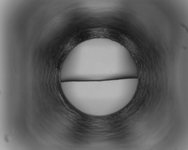 X0000097500757200802220841