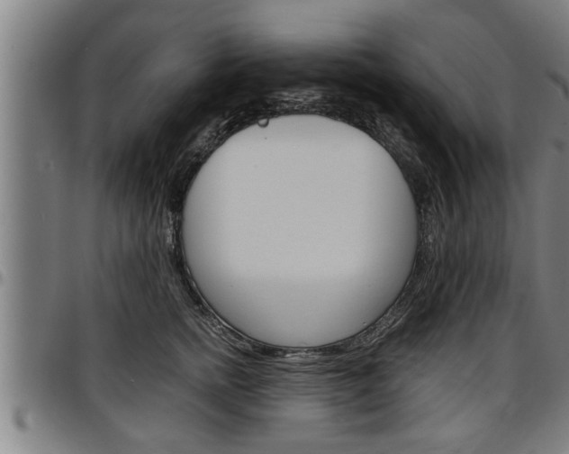 X0000097500758200802220841