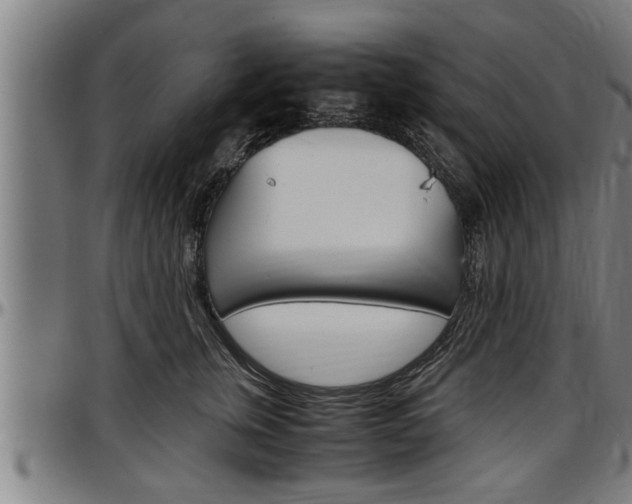X0000097500759200802220842