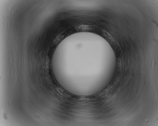 X0000097500760200802220842