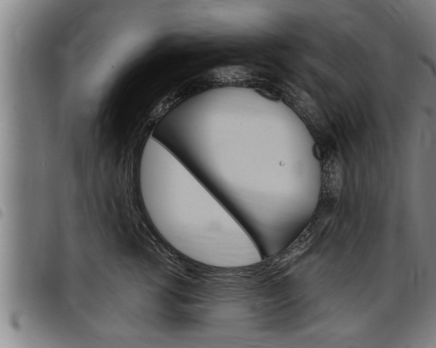 X0000097500762200802220842