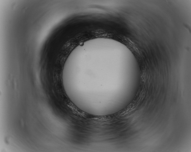 X0000097500763200802220842