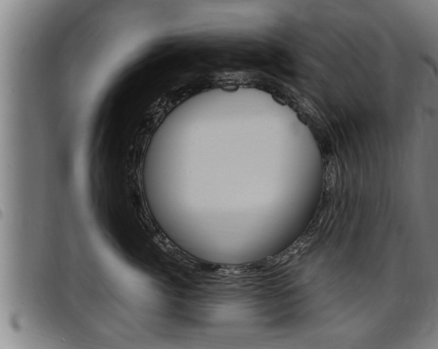 X0000097500764200802220842