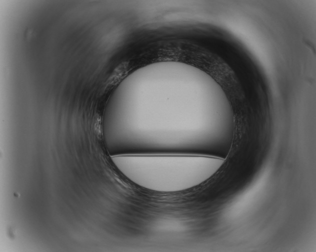X0000097500766200802220842