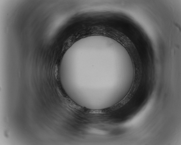 X0000097500767200802220842
