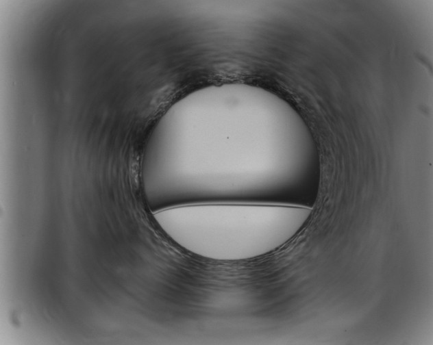 X0000097500768200802220842