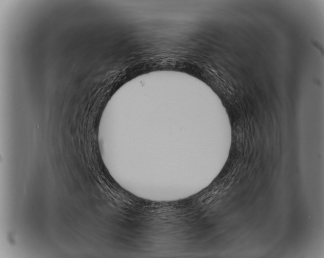 X0000097500769200802220841