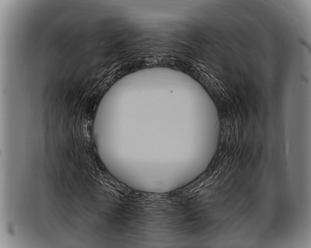 X0000097500770200802220841