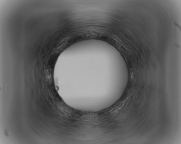 X0000097500771200802220841