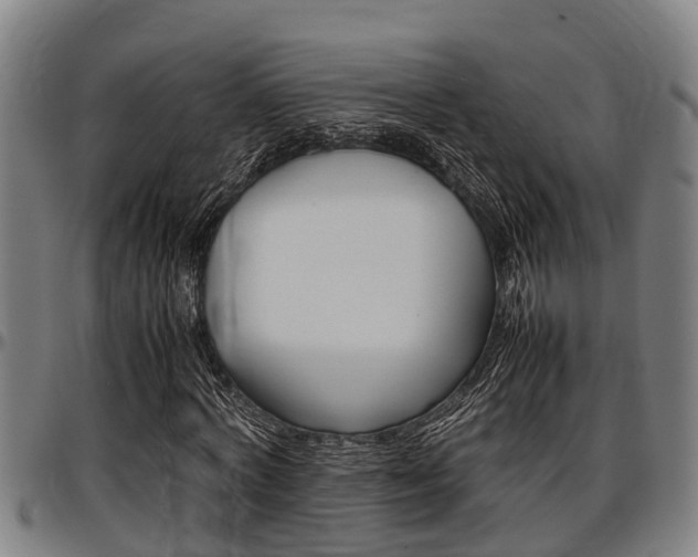 X0000097500772200802220841