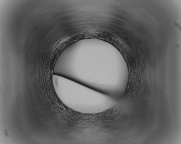 X0000097500773200802220841
