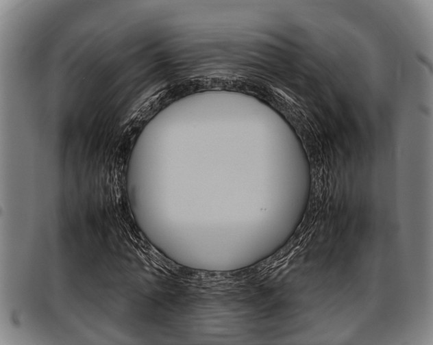 X0000097500774200802220841