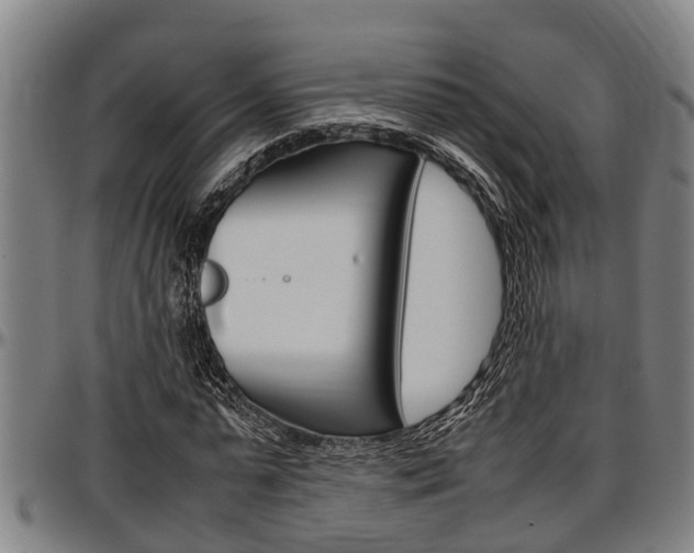 X0000097500775200802220841