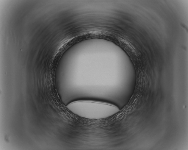 X0000097500776200802220841