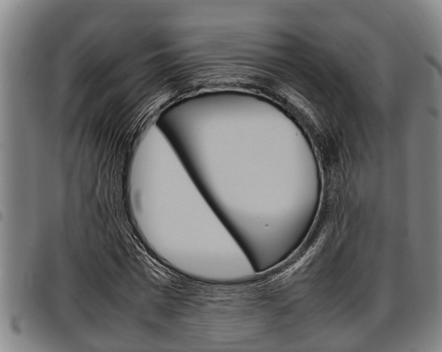 X0000097500777200802220841