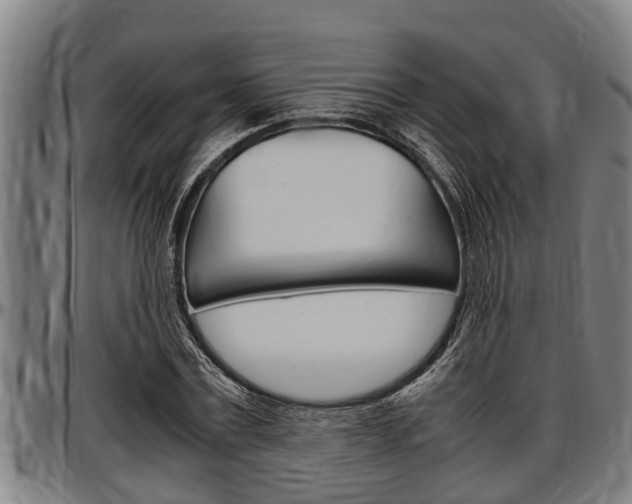 X0000097500779200802220841