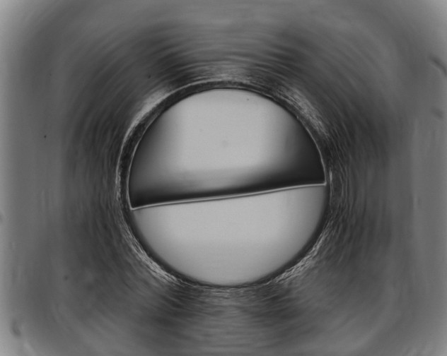 X0000097500780200802220841
